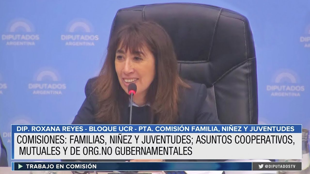 Abuso sexual infantil: Diputado dio dictamen al proyecto que cuenta con media sanción del senado