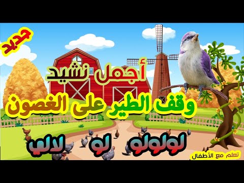 نشيد وقف الطير على الغصون لولولو لو لالي أناشيد للأطفال الأناشيد المدرسية مرفوقة بالكلمات 