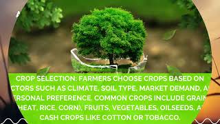 Farming techniques for farmers! Maximize Your Farm's Yield: Expert Tips for Farmers