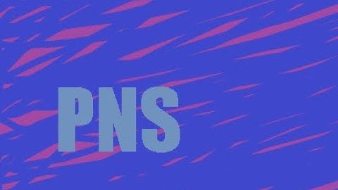 PNS Series: Getting Started with Blue Cat Audio Plug