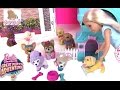 Мультики Барби. ЩЕНЯТА С ДОМИКОМ! Barbie Great Puppy Adventure Кукла Барби Мультик