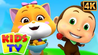 Charlie and the fruit factory, Hunt for the Golden Bone   Loco Nuts Cartoon and Animated Videos