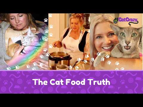 We Lost Two Cats… Then We Discovered the Dark Truth About Cat Food🐾
