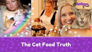 We Lost Two Cats Then We Discovered The Dark Truth About Cat Food