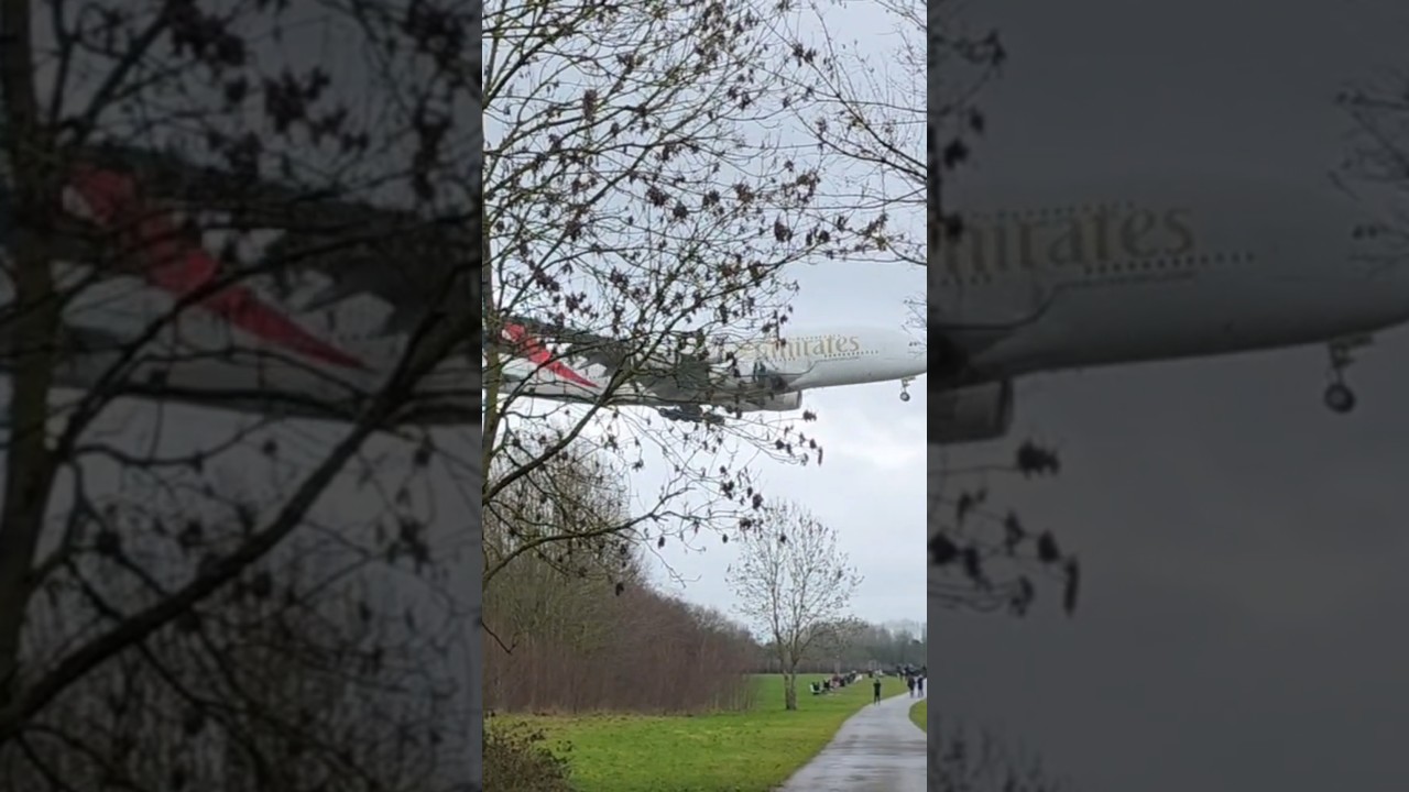 A380 Flying over trees!