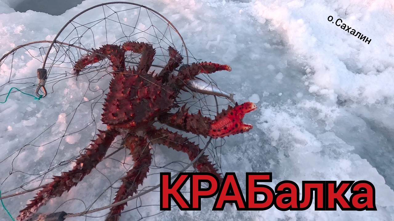 КРАБалка. Ловим КРАБа.