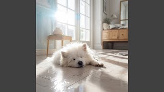 Harmonic Lull (Calm ambience + Beautiful Melodies)