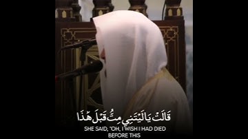 ناصر القطامي | اجمل مقاطع قرآن قصيرة ❤-  حالات واتس اب دينيه 💚- تلاوة خاشعة جدا💗