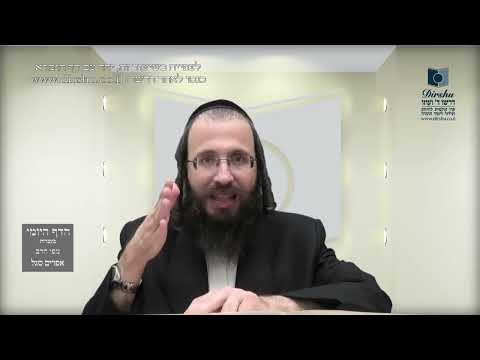 העמוד היומי בעברית מסכת עירובין דף פח עמוד ב