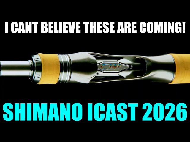 shimano anti backlash conventional reel ANT100XGB Antares B Baitcasting L.L.Bean Streamlight Ultra 2 Model:BBW-12-BG Equipped with the new rock dancer