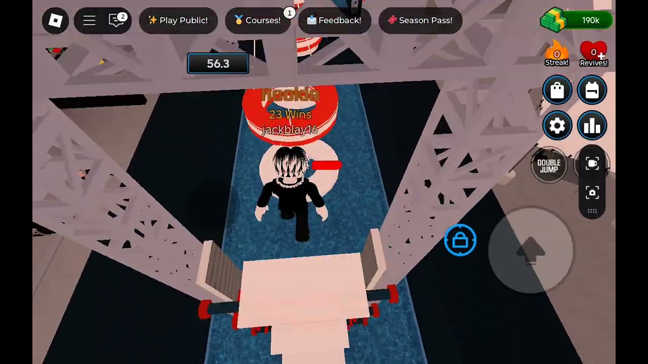 Trying to become the best Ninja warrior