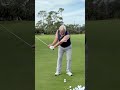 Golf Swing Basics in 30 Seconds