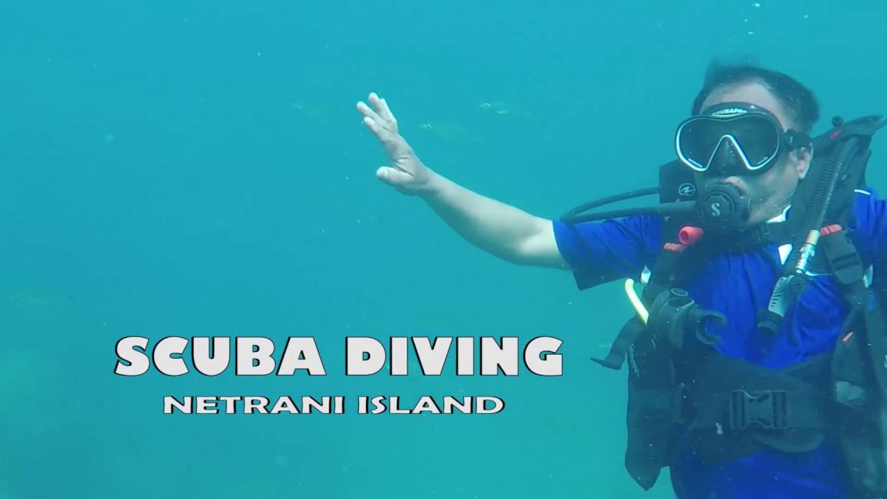 Scuba Diving Netrani Island Murudeshwar Scuba Diving For Dummies - roblox scuba diving at quill lake atlantean vault