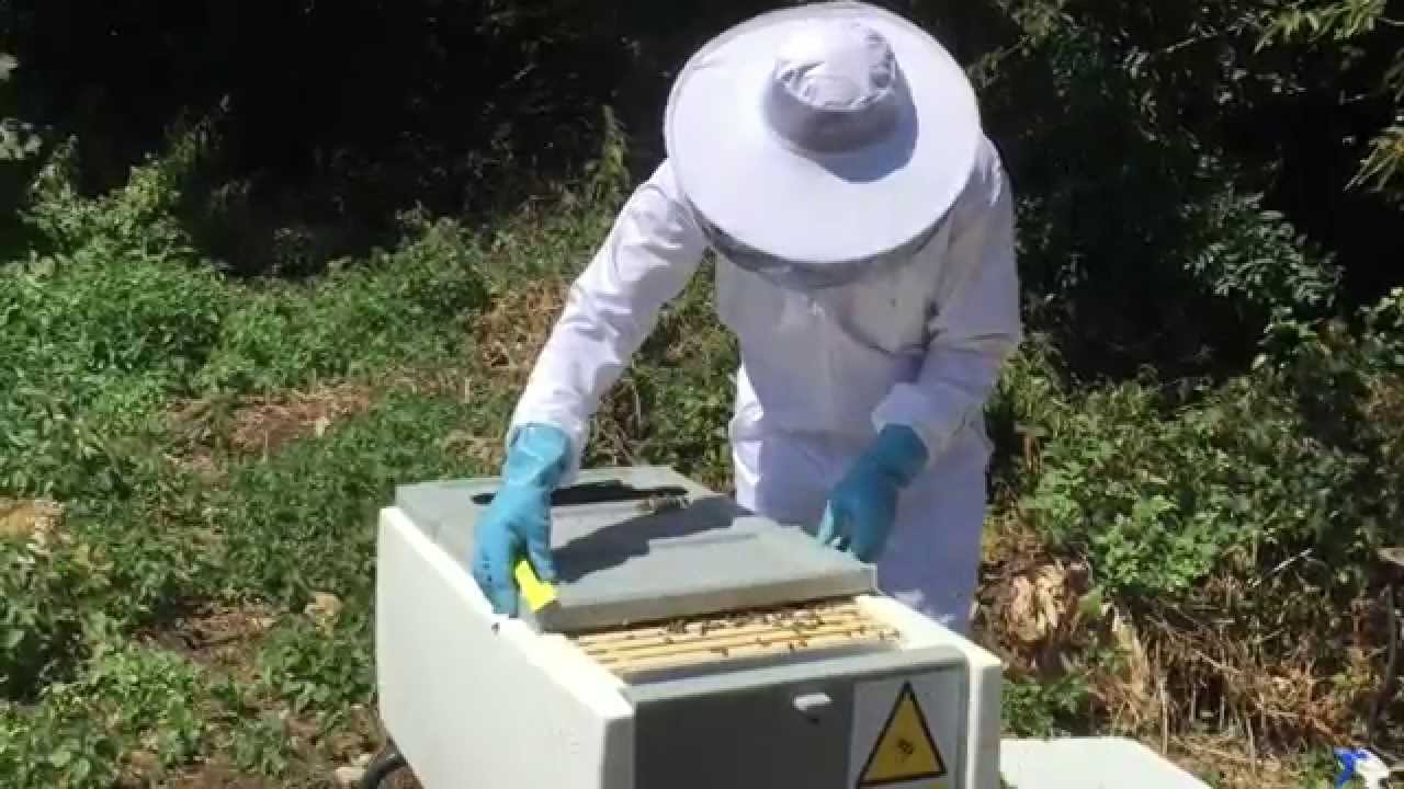 Urban Beekeeping in London using the Beehaus YouTube