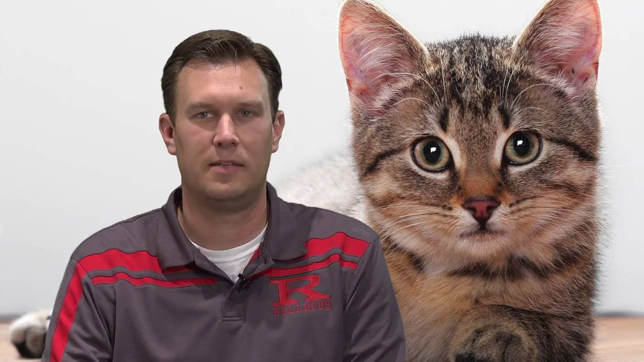Mr. Osebold Introduction Video video production contract