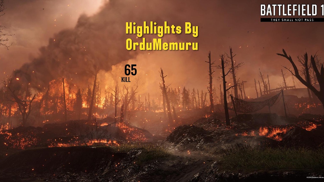 Battlefield 1 Verdun Tepeleri  