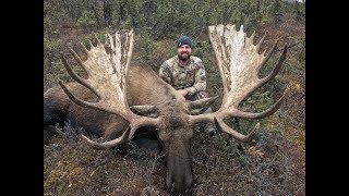 Alaska Moose hunt 2017 Andrew Anderson