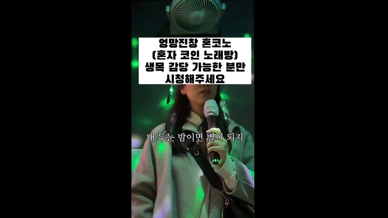 혼코노: 혼자 코인 노래방(기타X 시끄러움 주의!!)