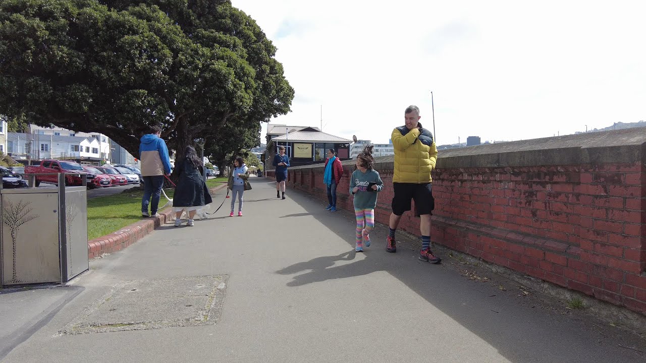 4K DJI Pocket 2 Walk | Oriental Bay - Lambton Quay (via Waterfront) | Wellington, NZ. October 2021.
