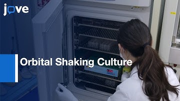 Orbital Shaking Culture: Mammalian Cells In O-shaped Vessels l Protocol Preview
