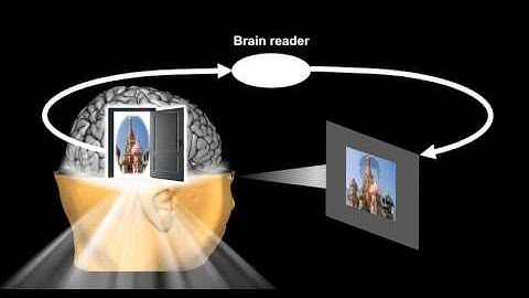 Decoding human visual attention