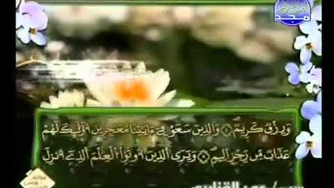 الجزء الثاني والعشرون (22) من القرآن الكريم بصوت الشيخ عمر القزابري