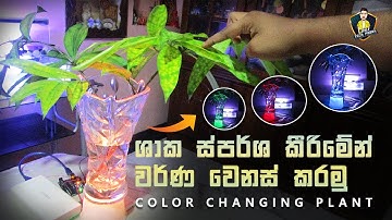 How to make a touch color changing plant I MK Tech Podda