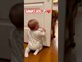 Dog Opens Door for Baby — Cutest Moment Caught on Camera 🐶👶❤️