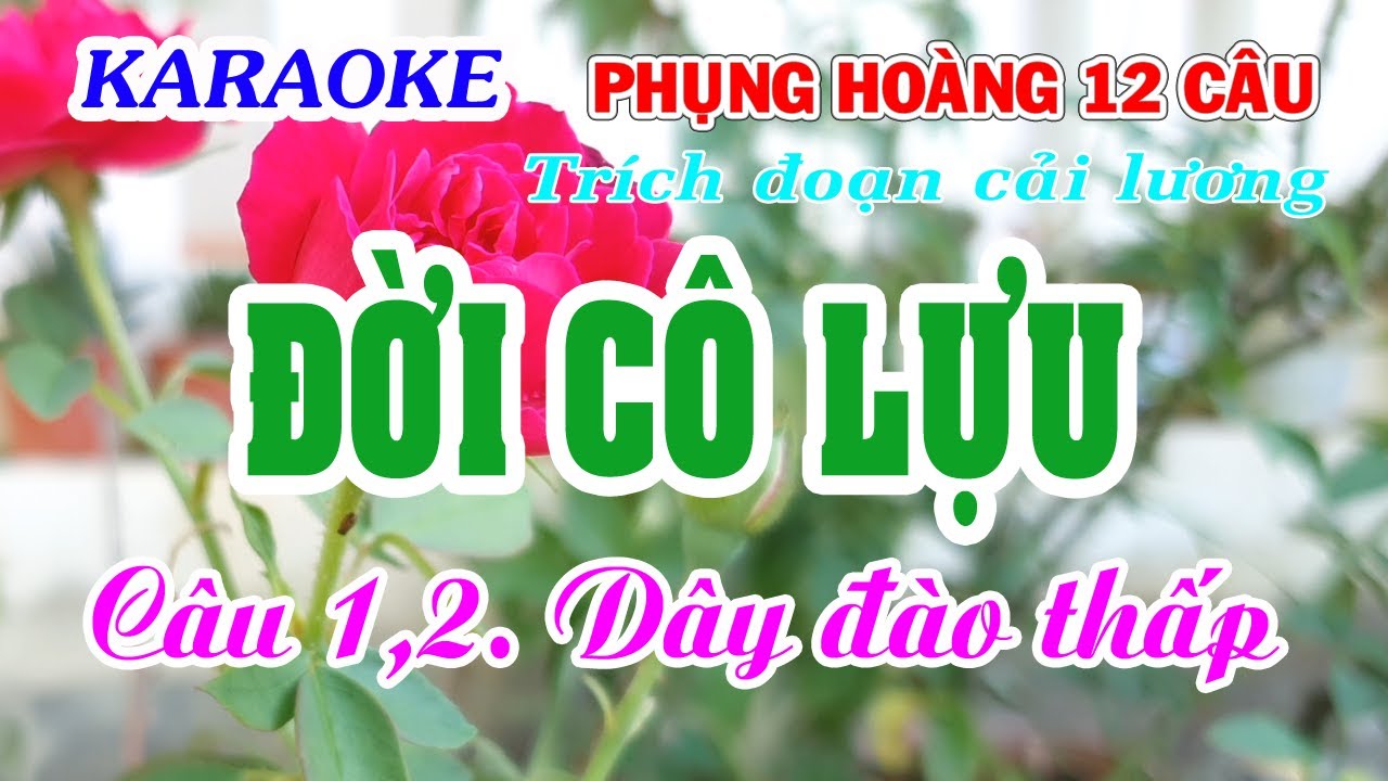 Karaoke _  Trích Đoạn Cải Lương _  Đời Cô Lựu _  Dây Đào Thấp