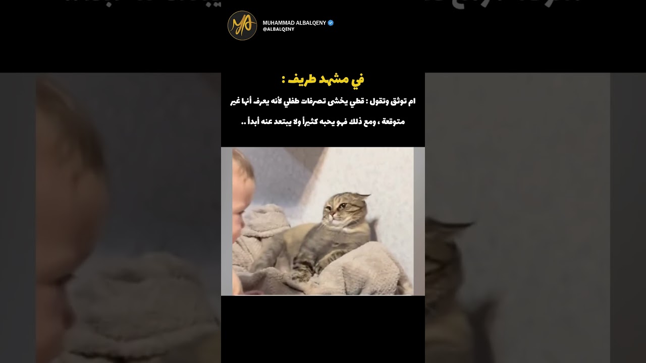 ردة فعل قطي عندما يلعب مع طفلي الرضيع #قطط #ضحك #كوميديات