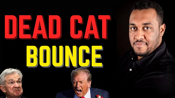 Bitcoin: Dead Cat Bounce or New Bottom?