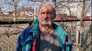 видео: Пока не поздно!!! Прививка плакучей шелковицы копулировкой. картинка: Пока не поздно!!! Прививка плакучей шелковицы копулировкой.