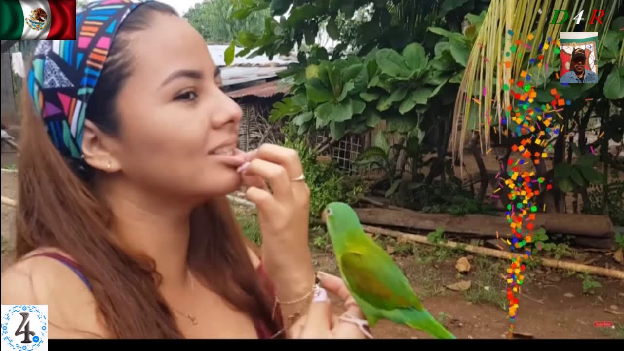 Joselin Martinez's Instagram, Twitter & Facebook on IDCrawl