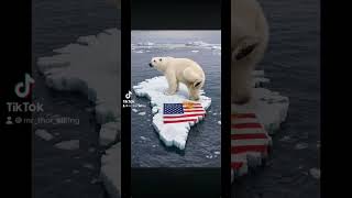 #USA #EU #haha #LOL #Fun #AI #Greenland Make Polarbear Great Again.