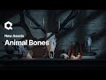 Animal Bones | Quixel Megascans | Now on @Fab