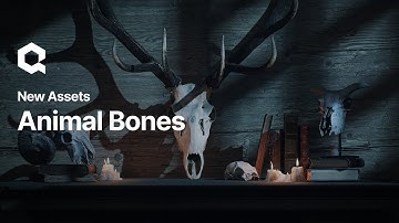 Animal Bones | Quixel Megascans | Now on @Fab