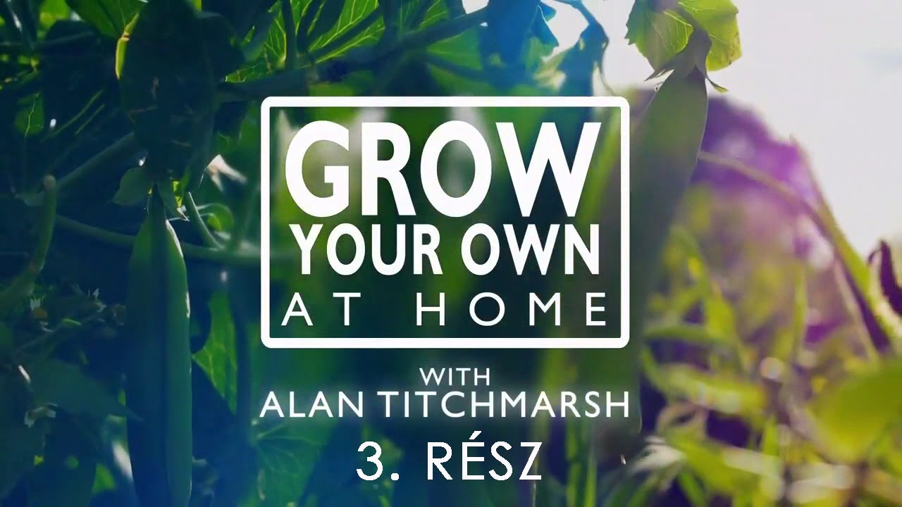 Útmutató konyhakerthez 2020 e3