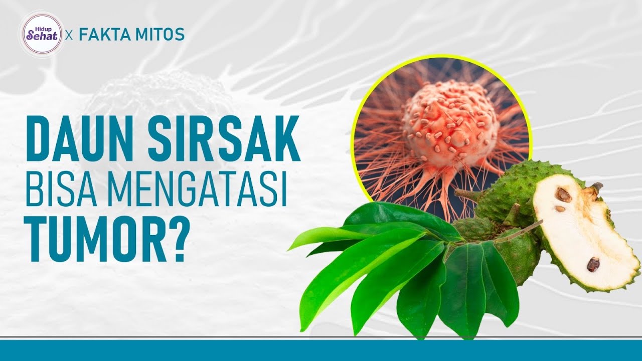 Cek Fakta Manfaat Daun Sirsak, Bisa Untuk Tumor? | Hidup Sehat tvOne