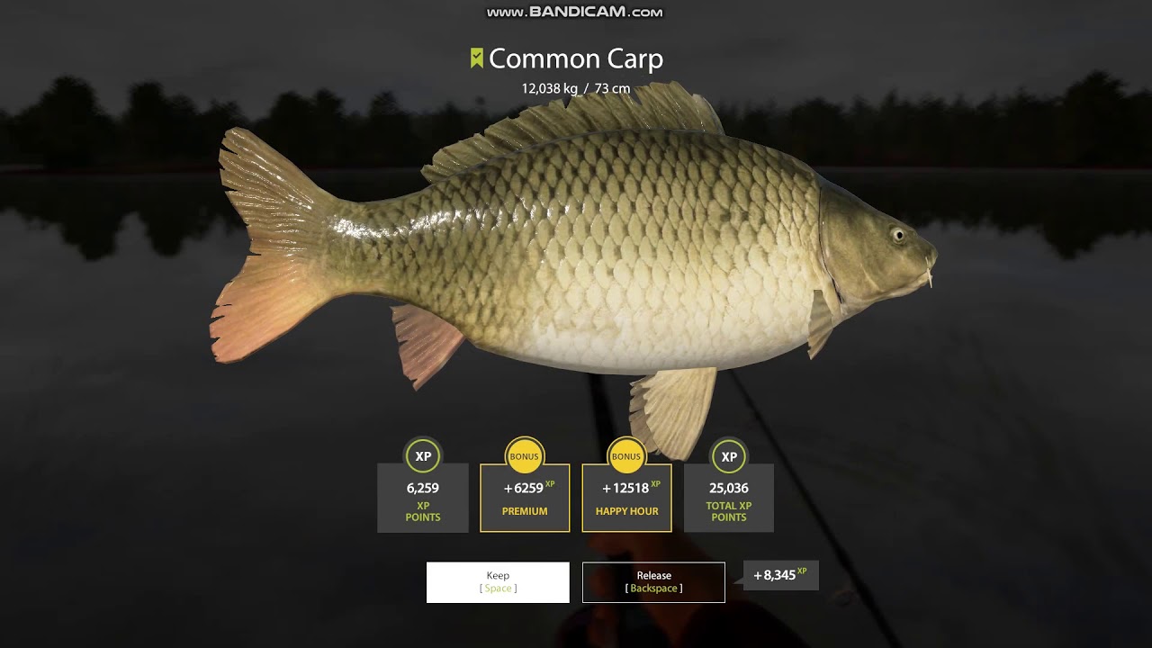 Карта озеро медвежье рр4