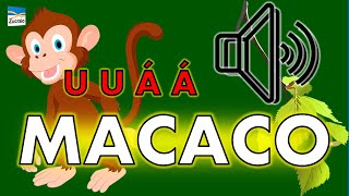 💙 BARULHO DOS BICHOS | SOM DO MACACO: U U Á Á! (EDUCAÇÃO INFANTIL)