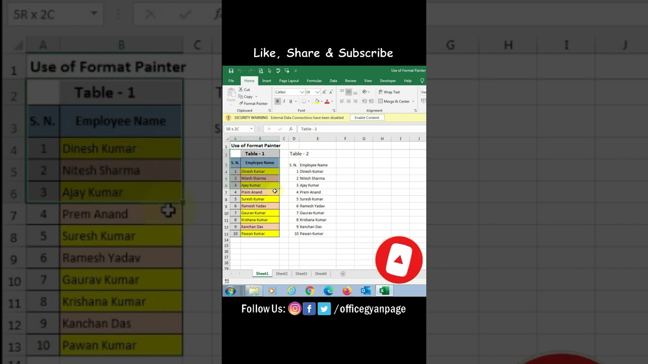 How to Use the FORMAT PAINTER in Excel | Uses of FORMAT PAINTER in MS Excel | 