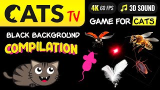CAT TV -  BLACK Ultimate Compilation 🙀🐝👀🪳 Game for cats 🔴 4K [60FPS]