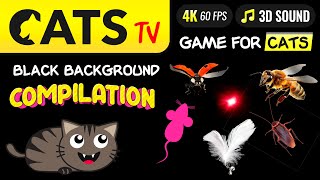 CAT TV -  ULTIMATE Compilation for cats 🙀🐝👀🪳 Game for cat 🔴 4K [60FPS] screenshot 5