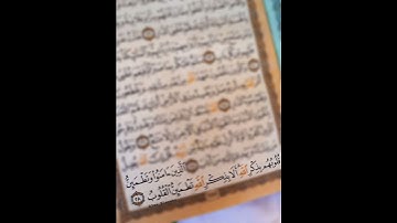 عبدالرحمن مسعد ❤ سورة الرعد