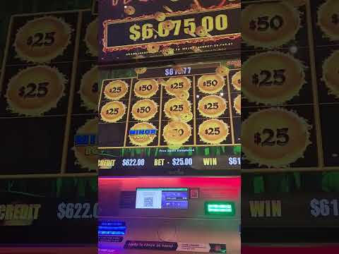 Experience the Thrill of Pokies: Play Online Casino Games in English on Pokies.net Australia