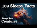 The Most Relaxing Facts About Deep Sea Creatures to Fall Asleep To
