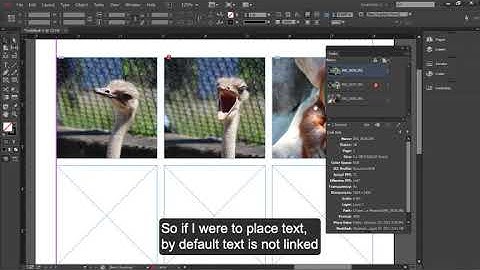 Links Panel in InDesign cc