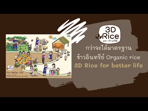 "กว่าจะได้มาตรฐานข้าวอินทรีย์ ข้าวอินทรีย์" 3DRiceforbetterlife