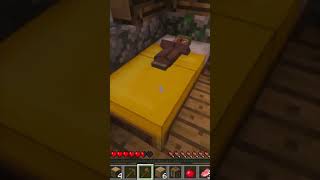 POV: You Find a Village… at Night #minecraft #shorts