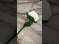 Flower crochet 🌹 # Amber yarn studio 🤌🏻 # Trending song 🌷# Viral  # shorts ✨